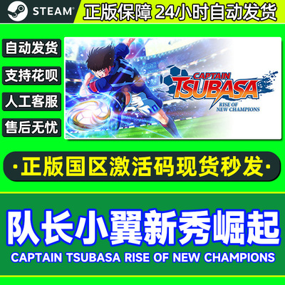 Steam队长小翼新秀崛起激活码