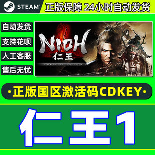 Nioh 国区激活码 CDKey Steam 中文 完整版 PC正版 类魂动作 仁王1