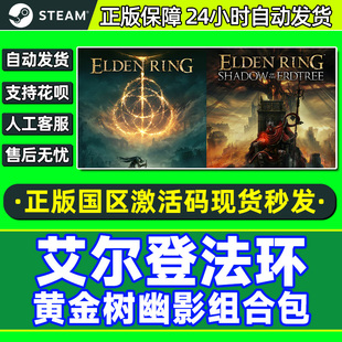 steam法环艾尔登法环EldenRing老头环黄金树幽影DLC国区CDK激活码