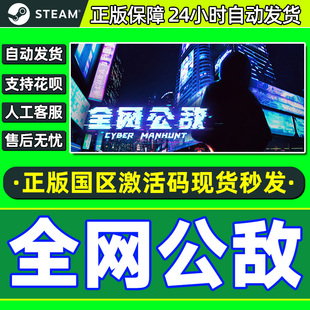 Steam 全网公敌 Cyber Manhunt 国区激活码CDKEY 正版PC游戏