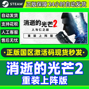 Steam 消逝的光芒2 重装上阵版 国区激活码CDK 中文PC正版游戏