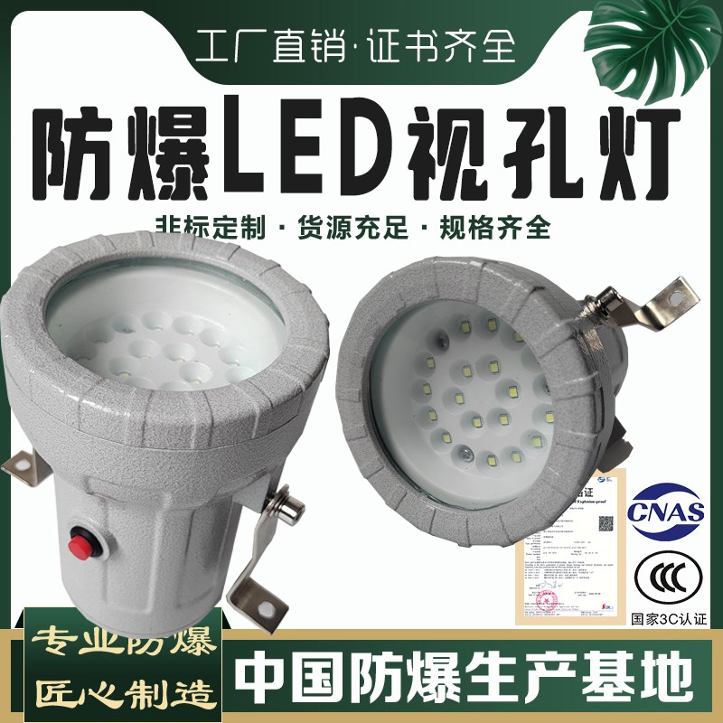防爆视孔灯BSD96化学容器LED视孔灯12V24VL36V220V反应釜视镜灯