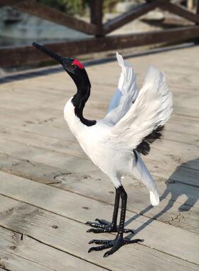 白鹤摆件白鹤摆件白鹤摆件白鹤摆件白鹤摆件真羽工艺品