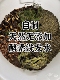 纯中药16味中药洗发水酵洗发水酵素洗头水乌发洗发水自然发酵