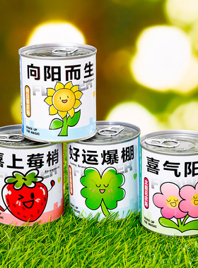 薄利多销儿童励志种植小盆栽小学