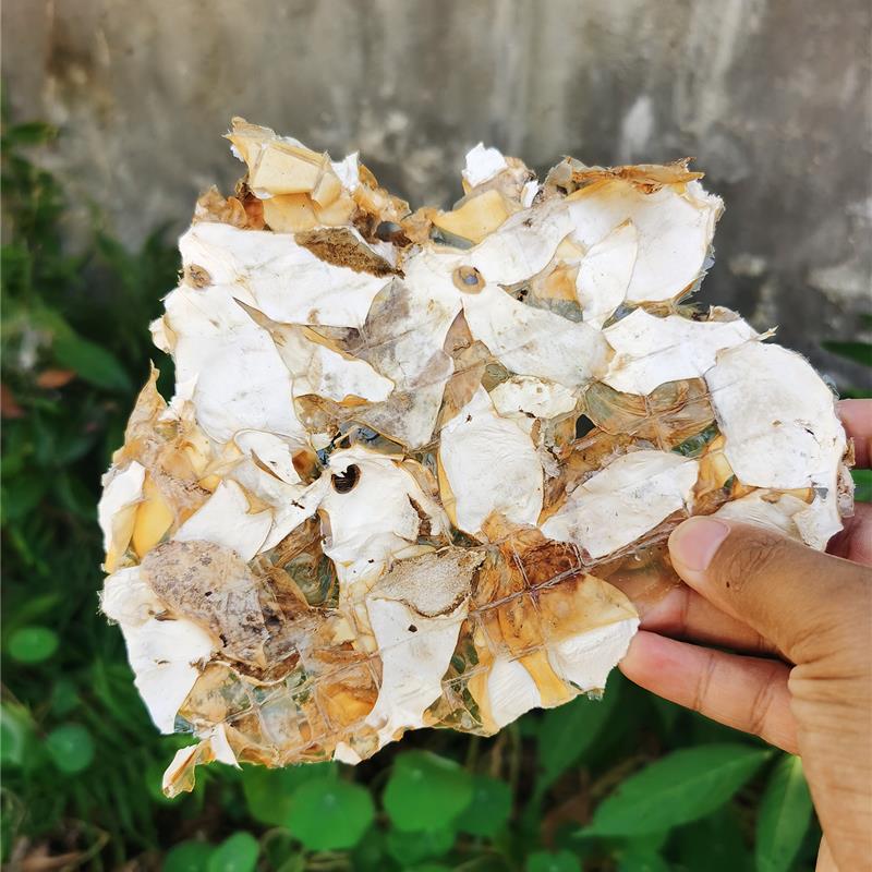 四川宜宾竹荪蛋皮竹胎皮干货土特产农家无硫熏烫火锅素食食材直销