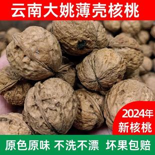 2024新货云南楚雄大姚核桃103果三台薄壳老树香甜无苦涩云南特产