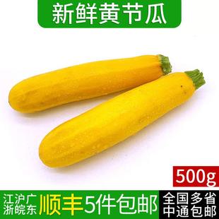 青黄西葫芦 新鲜黄节瓜500g 包邮 5件 黄茄瓜青节瓜蔬菜