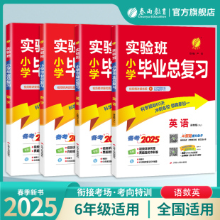 小升初专项训练真题集人教译林通用版 2025版 小学升学知识大集结 实验班小学毕业总复习语文数学英语提优训练 小升初专项训练套装