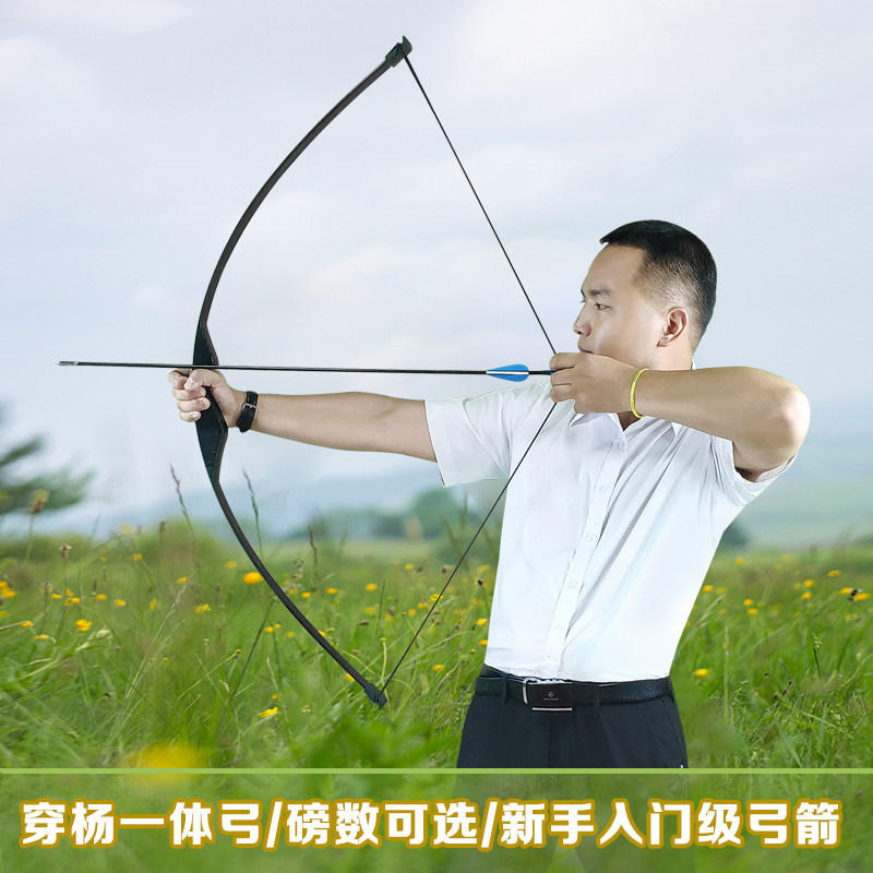 入门一体弓直拉弓郊游景区箭馆弓箭射箭支套装户外运动射靶纸靶子