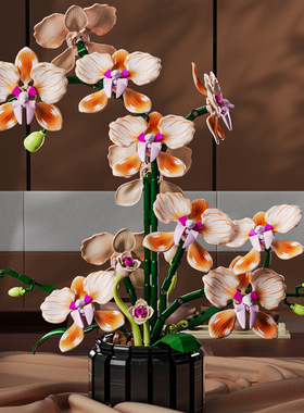 美及13111蝴蝶兰花双色花瓣拼装益智积木花摆件女生礼物玩具