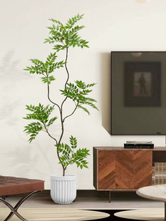 仿真植物香椿树落地盆栽仿生绿植摆件客厅沙发边家居装 饰盆景假树