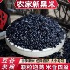 东北黑米当季 新鲜黑米农家自产优质香糯黑米黑米五谷杂粮煮粥