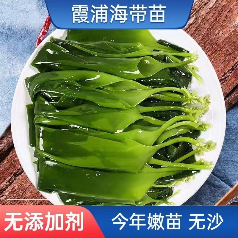 新鲜盐渍海带苗海带嫩苗凉拌菜火锅食材无添加0防腐剂商用批发