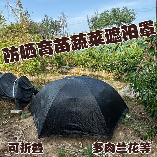 可折叠菜地育苗遮阳罩