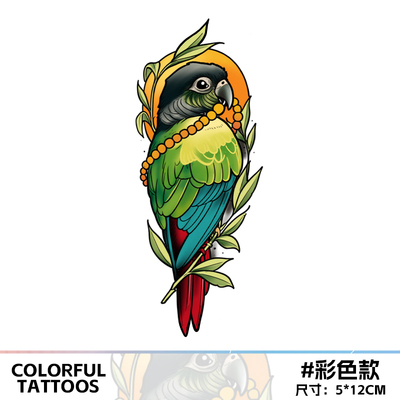 彩羽鹦鹉仿真纹身贴防水遮疤