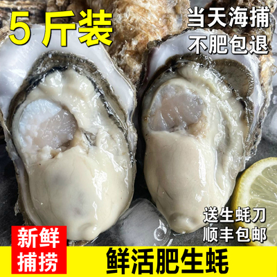 生蚝鲜活牡蛎新特大海子蒜蓉