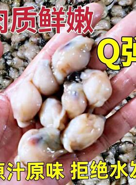 特大号墨鱼嘴新鲜鱿鱼嘴冷冻海鲜鱿鱼嘴新鲜鲜活目鱼嘴商用生鲜