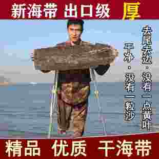 长岛厚海带干货昆布干海带头干货厚500g海带厚非新货干货天然无沙