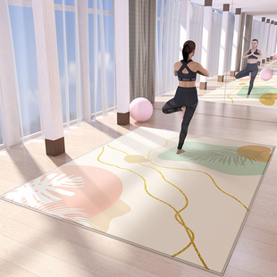运动隔音地毯健身专业减震加厚防震楼上楼下缓冲静音楼层防滑地垫