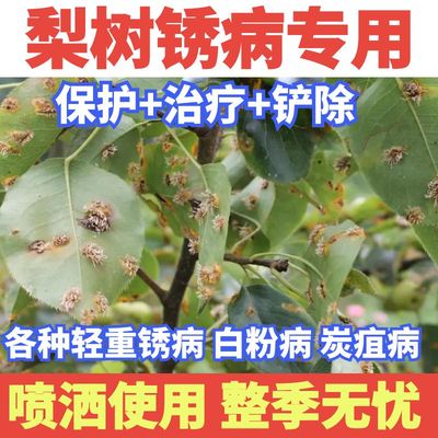 梨树锈病专用药梨树杀菌剂梨树病菌清梨铁锈病根腐芽腐白粉正品