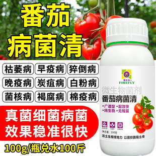 番茄病菌清西红柿专用炭疽溃疡灰霉早晚疫病番茄病害微生物菌剂