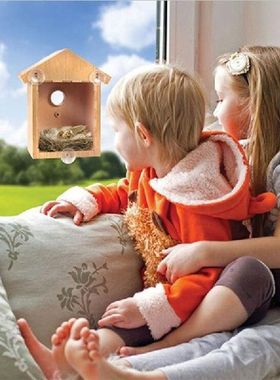 Wood Bird Nests Outdoor Suction Cup Visible Bird Home