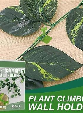 50pcs Vine Fixture Wall Fixing Clips Garden Plant Climbing