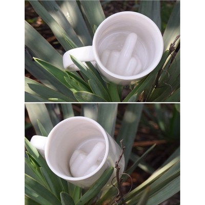 Funny Style White Middle Finger mug,Ceramic Mugs 300ml Capac