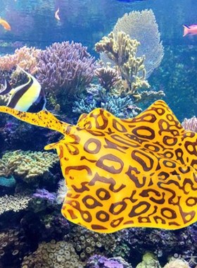 Luminous Glowing Artificial Devil Goldfish Jellyfish Fish Ta