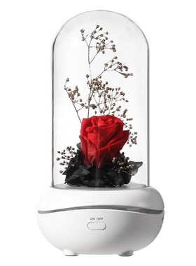 GRTCO Waterless Essential Oil Aroma Diffuser Fragrant Scent