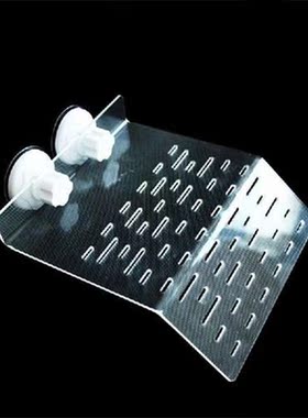 Transparent Tortoise Crawler Roof Terrace Turtle Pool