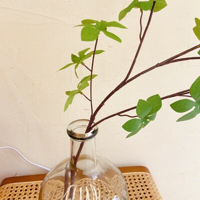 Ins pieris leaves flower arranging flowers contracted wind