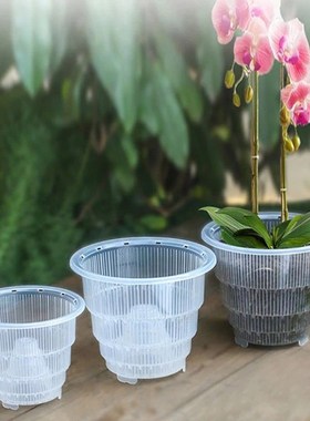 Orchid-Pots Planter Slotted Flower Clear Nursery-Garden Plas
