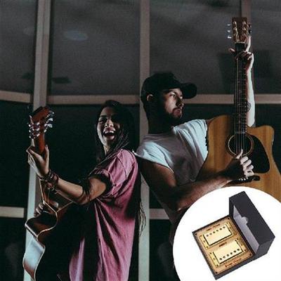 Guitar Pickup Stringed Musical Instruments Dual Coil