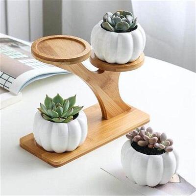 Durable Planter Tray Anti Deformed Bamboo Plants Pot Holder