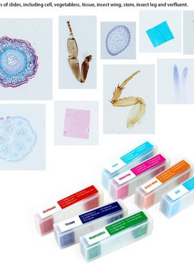 35pcs Prepared Microscope Slides Microscope Specimen Slide B