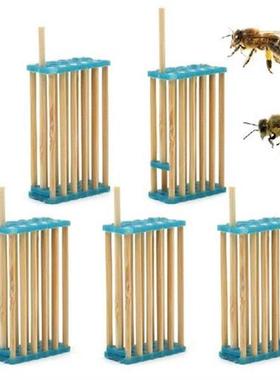 30 Pcs Beekeeping Tools Bamboo Queen King Bee Cages Queen