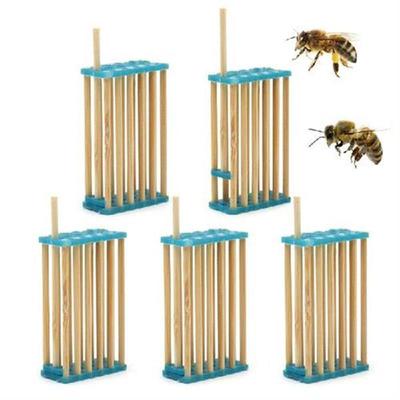 30 Pcs Beekeeping Tools Bamboo Queen King Bee Cages Queen
