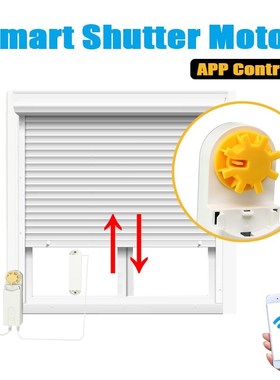 DIY Smart Motorized Chain Automatic Roller Blinds Shade Shut