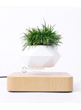 VIp Magnetic suspension flower pot Levitating Air Bonsai Pot