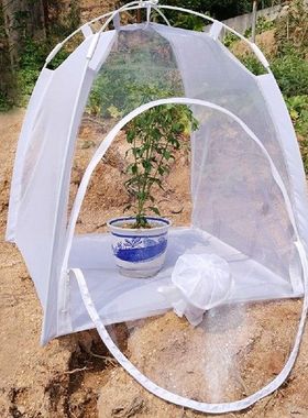 Multifunctional Plant Insulation Shed Garden Greenhouse