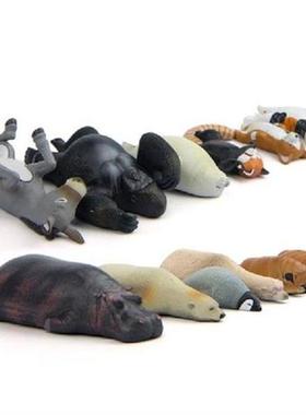 Polar bear Gorilla Seals Animal fridge magnets whiteboard