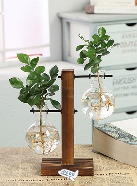 Terrarium Hydroponic Plant Vases Vintage Flower Pot Transpar