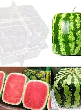 Square Shape Watermelon Calabash Shaping Mold Fruit Growth