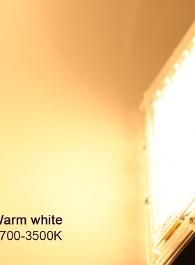 2pcs 50W Led Flood Light Outdoor Lighting 220V Floodlight Wa