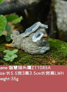 Cute owl is placed inside the car creative resin office