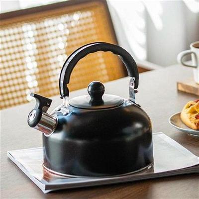 3L Teapot Whistling Kettle Tea Kettle Stovetop Iron Tea Pot