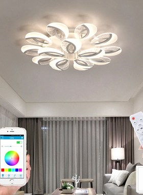 Nordic ceiling lamp modern living room lamp room aisle LED c