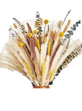 125Pcs Dried Plants Branches,Vase Filler With Fluffy Pampas